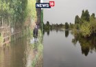 कानपुर में उफनाई गंगा, चपेट में आए एक दर्जन से अधिक गांव, लोग पलायन को मजबूर