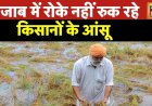 Punjab Flood: पंजाब के कई इलाकों में बाढ़ जैसे हालात, लोग घरों की छतों पर पनाह लेने को मजबूर| News18