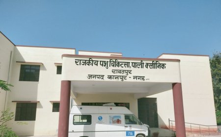 कानपुर में होगी पशु पक्षियों की एक्सरे और सीटी स्कैन की जांच