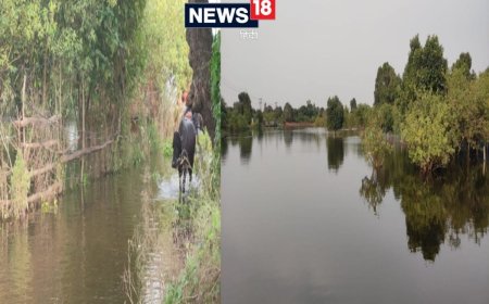 कानपुर में उफनाई गंगा, चपेट में आए एक दर्जन से अधिक गांव, लोग पलायन को मजबूर