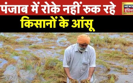 Punjab Flood: पंजाब के कई इलाकों में बाढ़ जैसे हालात, लोग घरों की छतों पर पनाह लेने को मजबूर| News18