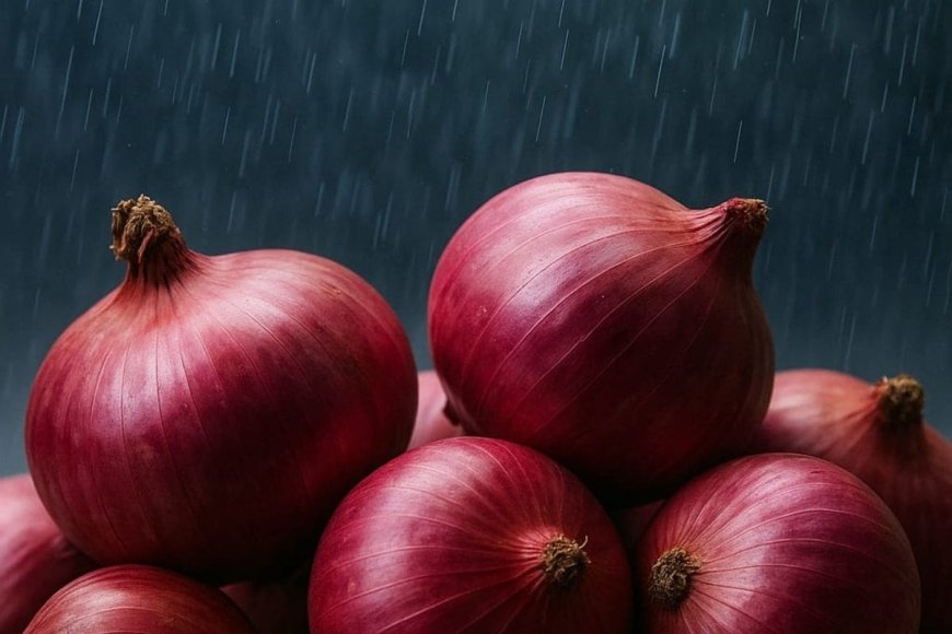 बारिश में प्याज को गलने से कैसे बचाएं? जानें 7 आसान स्टोरेज टिप्स