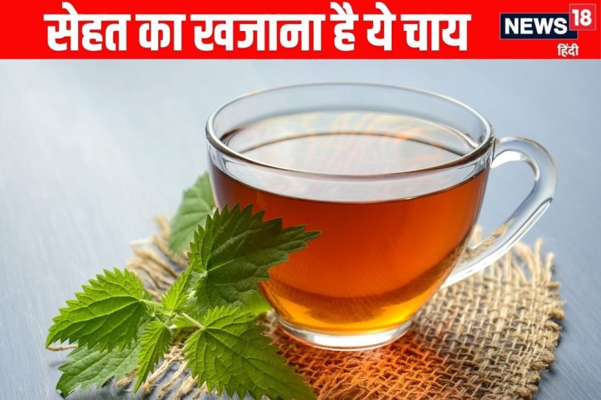5 हर्ब्स से बनाएं इम्यूनिटी बूस्टिंग चाय, मानसून में रहें एकदम तंदुरुस्त