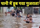 Gujarat Rainfall: गुजरात के कई शहरों में तेज़ बारिश का अलर्ट, NDRF की टीमें मौके़ पर तैनात | News18