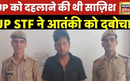 UP News : STF को बड़ी कामयाबी, ISI के लिए काम करने के आरोप में  शामली से संदिग्ध आंतकी गिरफ़्तार