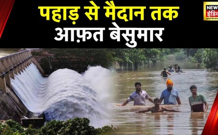 Punjab Flood : पंजाब के कई गांव पानी में समाए, Pong Dam से पानी छोड़ने से बिगड़े हालात | News18 india