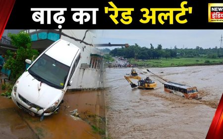 Flood Update : Gujarat- Haridwar में खतरे की घंटी, बाढ़ का Red Alert किया गया जारी | Heavy Rain