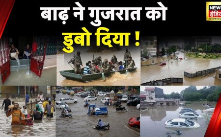 Gujarat Rains News: गुजरात के Dwarka में घरों में घुसा बाढ़ का पानी, बारिश से जलभराव से आई मुसीबत