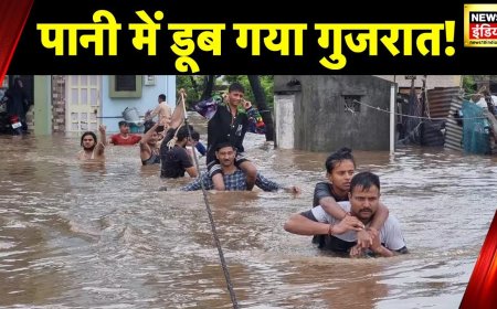 Gujarat Rainfall: गुजरात के कई शहरों में तेज़ बारिश का अलर्ट, NDRF की टीमें मौके़ पर तैनात | News18