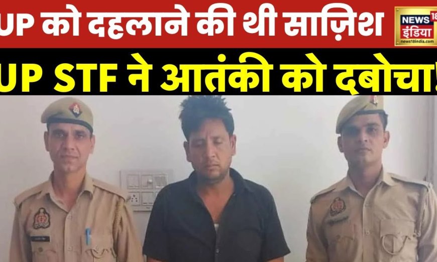 UP News : STF को बड़ी कामयाबी, ISI के लिए काम करने के आरोप में  शामली से संदिग्ध आंतकी गिरफ़्तार