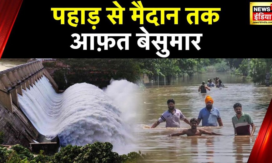 Punjab Flood : पंजाब के कई गांव पानी में समाए, Pong Dam से पानी छोड़ने से बिगड़े हालात | News18 india