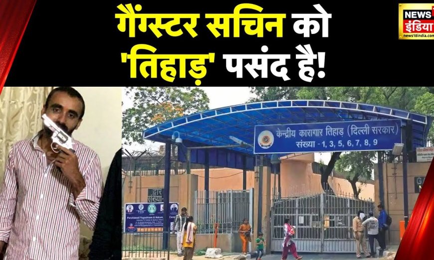 Sachin Bishnoi News: Lawrence बिश्नोई गैंग के प्लैन का पर्दाफ़ाश, सचिन को क्यों सताई Tihar की तलब?