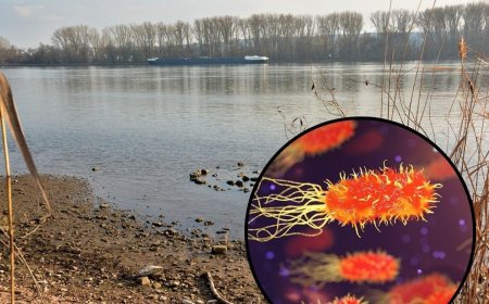 मध्य प्रदेश में जो बीमारी फैल रही वो क्या है, क्यों इसने लोगों की टेंशन बढ़ा दी है?