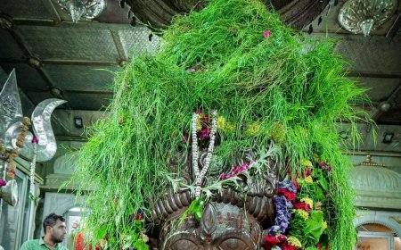 यहां है भगवान पशुपतिनाथ का मंदिर, 15 अगस्त पर होता है दूर्वा अभिषेक, 38 साल पुरानी है परंपरा