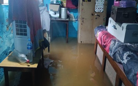 बारिश का कहर: 48 घंटे से हो रही तेज बारिश, दमोह सहित ग्रामीण इलाकों में बाढ़ जैसे हालात