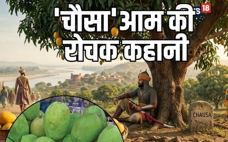 गाजीपुरिया आम दुनिया भर में 'चौसा' के नाम से क्‍यों हुआ मशहूर? शेरशाह सूरी से जुड़ा है कनेक्‍शन, जानें इसकी कहानी