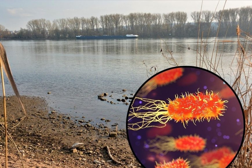 मध्य प्रदेश में जो बीमारी फैल रही वो क्या है, क्यों इसने लोगों की टेंशन बढ़ा दी है?