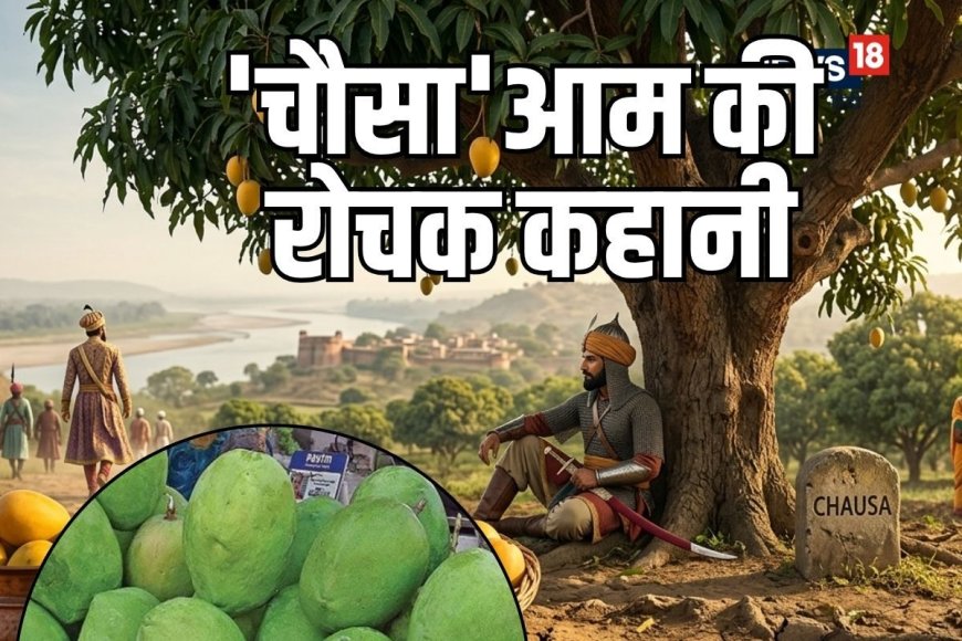 गाजीपुरिया आम दुनिया भर में 'चौसा' के नाम से क्‍यों हुआ मशहूर? शेरशाह सूरी से जुड़ा है कनेक्‍शन, जानें इसकी कहानी
